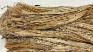 Fibra de Yucca Natural, Cuerda Ecológica Cruda para Fabricación de Cepillos, Suministro al por Mayor para Exportación - Product Image 3