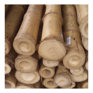 Postes de bambú natural-Material de caña de bambú-Estacas de bambú seco para exportación - Product Image 3