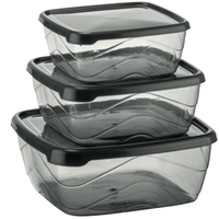 Ensemble de 3 contenants carrés hermétiques en plastique PP sans BPA, multifonctionnels, modernes, pour épices, avec couvercles, 900 ml, 1,5 L, 2,5 L
