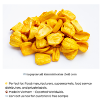 Chips de Jackfruit Séché Croustillant du Vietnam 100% Jackfruit Frais Saveur Sucrée Sans Sucre Texture Moelleuse Snacks Fruits et Légumes OEM