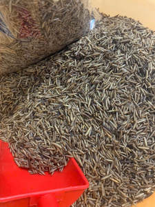 Thân thiện với môi chiên BSF ấu trùng | Giá trị dinh dưỡng cao bữa ăn côn trùng cho gia cầm | 100% tự nhiên và dài Hạn sử dụng | <span class=keywords><strong>MS</strong></span> JESSI - Product Image 4