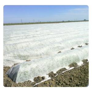 High Tensile Agriculture Non Woven Fabric GSM 20-150 Extra Wide Weed Control and Plant Protection Material - Product Image 4