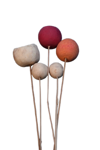 Bell <b>Cup</b> Natural Dried on Sticks Christmas Decorative Home Decorative Item with Different Size and Color - Product Image 5