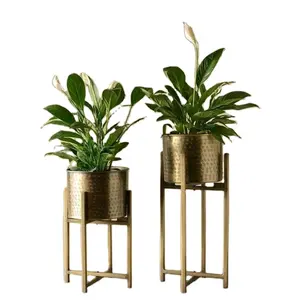 Top Selling Nordic Design 2 Size Metal Brass Hammered Planter & Rotate Boarder With Round Pipe Folded Stand Gold For Table Decor