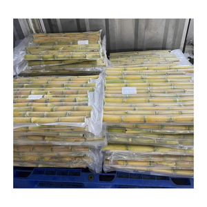 Bâtons de canne à sucre congelés de qualité supérieure pour la fabrication de jus et de boissons rafraîchissantes, goût frais, norme d'exportation, approvisionnement en vrac disponible - Product Image 5