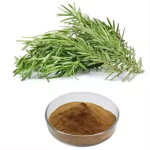 Premium Organic 100% Natural Best Rosemary Extract Botella de 60 cápsulas - Product Image 3