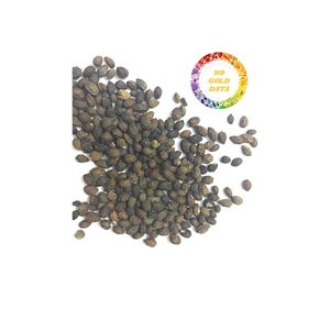 เมล็ดมะละกอแห้งคุณภาพสูงผลิตภัณฑ์จากธรรมชาติจากเวียดนามสำหรับชาสมุนไพรและเครื่องดื่มดีท็อกซ์ - Product Image 4