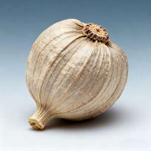 Semillas de cardamomo orgánicas de alta calidad de Brasil, precio preferencial para productos de agricultura verde en Guatemala - Product Image 1