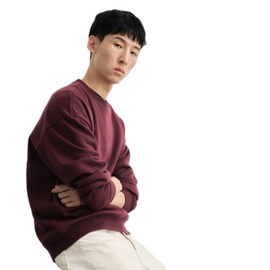 Men Regular Fit Crewneck Pullover Sweatshirt 370gsm Cotton Fleece Lined Elegant Style Custom OEM Private Label Eco-Friendly - Product Image 3