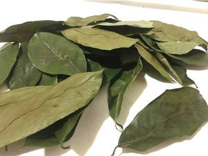 ใบกระพรุนอบแห้ง/ใบกราวิโอลา/ใบหญ้าขายส่งคุณภาพสูงจากเวียดนาม - Product Image 4