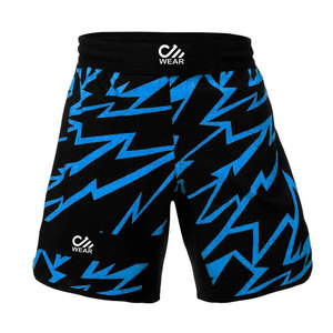 Shorts de boxe de haute qualité en gros Combat uni MMA Logo personnalisé Kick Boxing Muay Thai Shorts pour hommes - Product Image 2