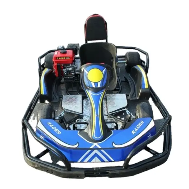 Used Cheap Electric For Adults Racing Go kart Sets For Sale Adult Go Karts and Kids Go Karts