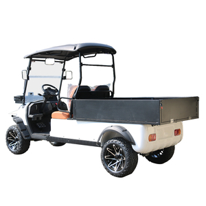 Voiture électrique à deux places, chariot de transport, batterie au plomb-acide, certifiée CE, 45 km/h, autonomie de 80-90 km, chargement et déchargement pratiques, personnalisable - Product Image 2