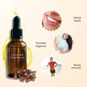 Huile Essentielle de Feuille de Clou de Girofle 100% Pure Distillée à la Vapeur Certifiée GMP Soins de la Peau & Bien-être FDS Disponible Compatible avec les Huiles Végétales - Product Image 4