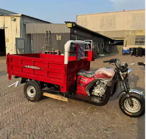 Triciclo Eléctrico RC de 8.5 KW para Transporte de Carga en Venta, Ideal para Granjas y Terrenos Todoterreno - Product Image 1