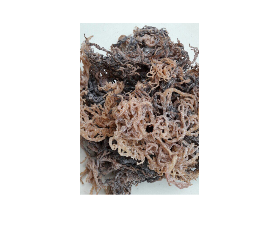 Natural Cottonii Seaweed from Vietnam Pristine Waters - Ideal for High-Quality Gel and Industrial Uses