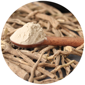 Polvo de Ashwagandha orgánico a granel, venta al por mayor, extracto de raíz de Withania Somnifera, etiqueta privada OEM disponible - Product Image 4