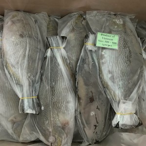 Frozen Whole Rabbit Fish Seafood IQF Vacuum Pack Bulk Wholesale Low Price Vietnam Origin 24 Months Shelf Life - Product Image 3