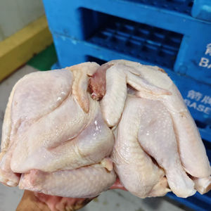 Pechuga de Pollo Halal Congelada, Sin Piel y Sin Hueso, en Venta - Product Image 1