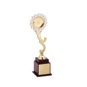 Trophée sportif en aluminium à finition métallique imprimé UV, écologique et économique, idéal pour les récompenses en gros – Vente Flash - Product Image 1