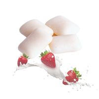 Vente en gros de chewing-gum à la saveur fruitée au xylitol pour soins dentaires, emballage en vrac