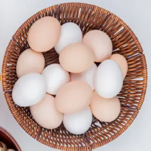 Оптовая продажа, лучшее качество, свежие куриные яйца на ферме для продажи, доступны сейчас по сниженной цене