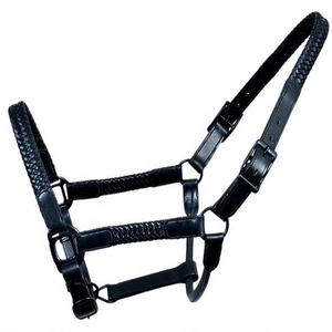 เชือกจูงม้าแบบ Halter ทำจากไนลอนทนทาน พร้อมรายละเอียดหนังแท้และอุปกรณ์เหล็กทองเหลือง - Product Image 3