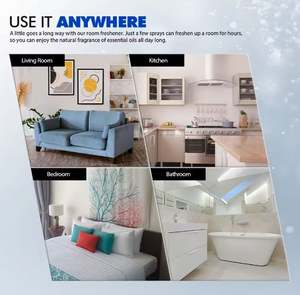 Distributeur de désodorisant domestique au design personnalisé avec vaporisateur de chambre écologique de capacité différente pour l'utilisation et le parfum de voiture - Product Image 3