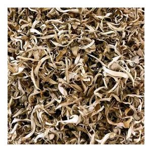 Champignon séché biologique Champignon roi de haute qualité de qualité supérieure vente bon marché-Champignon délicieux prix de vente à l'exportation - Product Image 1