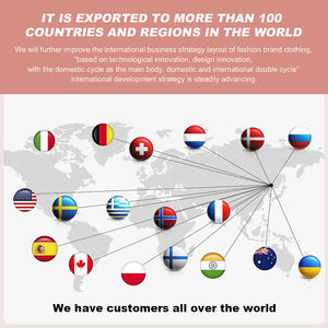 2025 sweat à capuche pour femme sur prix de gros surdimensionné DTF DTG impression OEM fabricant personnalisé 100% coton sweat à capuche pour femme - Product Image 5