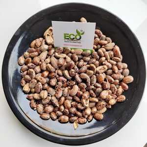 Produit d'alimentation pour bétail, ricin indien à vendre à bas prix avec emballage de haute qualité, ricin brun - Product Image 3