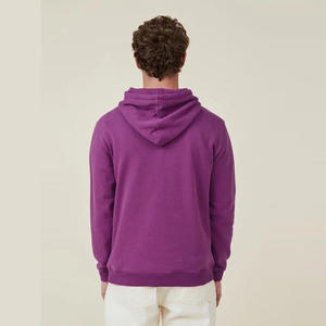 Haute qualité imprimé broderie pull sweats à capuche pour hommes coton respirant couleur unie vêtements d'hiver basiques - Product Image 2