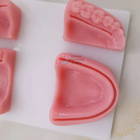 Almohadilla de práctica de sutura dental modelo anatómico 3D de silicona para educación médica por Debonairii