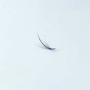 Belleza de nicho única encantadora para extensiones de pestañas suaves y esponjosas Nuevo diseño a granel para exportación - Product Image 4