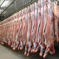 Viande d'agneau et de mouton halal surgelée de haute qualité, prête à l'exportation