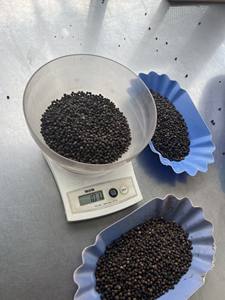 VILACONIC Poivre noir séché Herbe entière Goût épicé Huile de traitement brut Motif rond préservé - Product Image 4