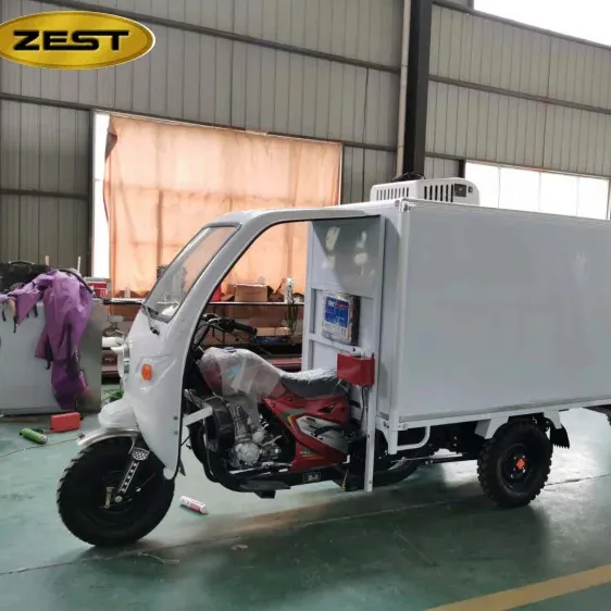 China best frozen tricycle cabin three wheel motorcycle cargo tricycle for sale