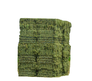 Venta al por mayor de heno de alfalfa para piensos a precios bajos, pedidos a granel perfectos para fabricantes de piensos y proveedores agrícolas - Product Image 2