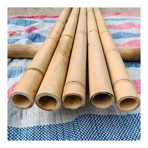 Varas de Bambú Tratadas Duraderas, Fabricadas en Vietnam, Bambú Natural al por Mayor para Uso en Construcción - VietnamCrafts BP003 (Pedido Mínimo 100 Piezas) - Product Image 1