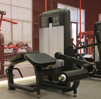 Máquina de extensión de piernas comercial con carga de pin de acero, equipo de entrenamiento de fuerza GM Fitness para ejercicios de piernas, precio mayorista