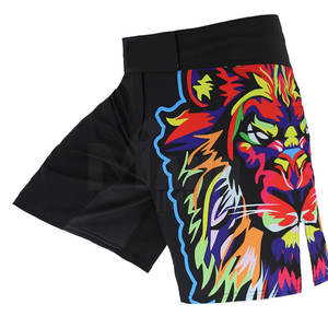 Vente en gros de shorts MMA en coton de haute qualité shorts de boxe d'entraînement confortables personnalisables OEM pour vêtements d'arts martiaux pour hommes - Product Image 2