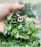 DAUN MANIS KERING VIETNAM (KATUK) / GROSIR / 5kg / KUALITAS TINGGI / PENGOLAHAN BERSIH