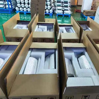 Lampe de croissance à double extrémité de 1000W pour lampe DE HPS avec ballast électronique pour rose ou légumes biologiques en serre