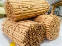 Bâtons de cannelle de Ceylan séchée - Véritable cannelle du Sri Lanka |   Marque DP Ceylon Durée de conservation de 5 ans |   Prix de gros pour l'emballage en vrac
