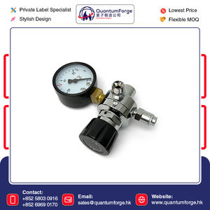 Vente en gros Quantité exportateur de bonne qualité OEM alimentation régulateur de pression ensemble pour les chargeurs de crème fouettée à un prix fiable - Product Image 6