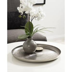 ถาดเสิร์ฟตกแต่งลายใบมอนสเตอร่าสีเงิน ทำจากโลหะ ใช้ซ้ำได้ ทำจากอะลูมิเนียม เหมาะสำหรับตกแต่งโต๊ะอาหาร ของตกแต่งบ้าน - Product Image 1