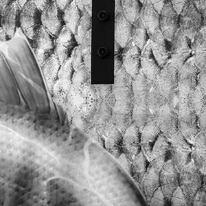 เสื้อโปโลชาย แขนยาว คอปก ติดกระดุม แห้งเร็ว ระบายอากาศ น้ำหนักเบา ผลิตจากโพลีเอสเตอร์ เหมาะสำหรับตกปลา ป้องกันรังสียูวี  แบบสั่งทำพิเศษ - Product Image 4