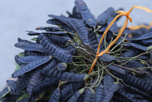 100% naturel criquet noir miel criquet savon haricot Gleditsia Sinensis Triacanthos du Vietnam - Product Image 6