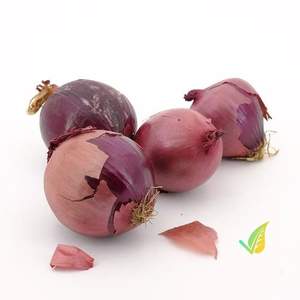 Cebollas Rojas Frescas de Nueva Cosecha, Especias y Alimentos Condimentados, Cebollas Grandes al por Mayor - Product Image 1