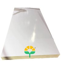 C T FARM LLC Contreplaqué marin stratifié blanc brillant 18 mm, résistant à l'eau, qualité supérieure, double face, placage mélaminé 2 couches